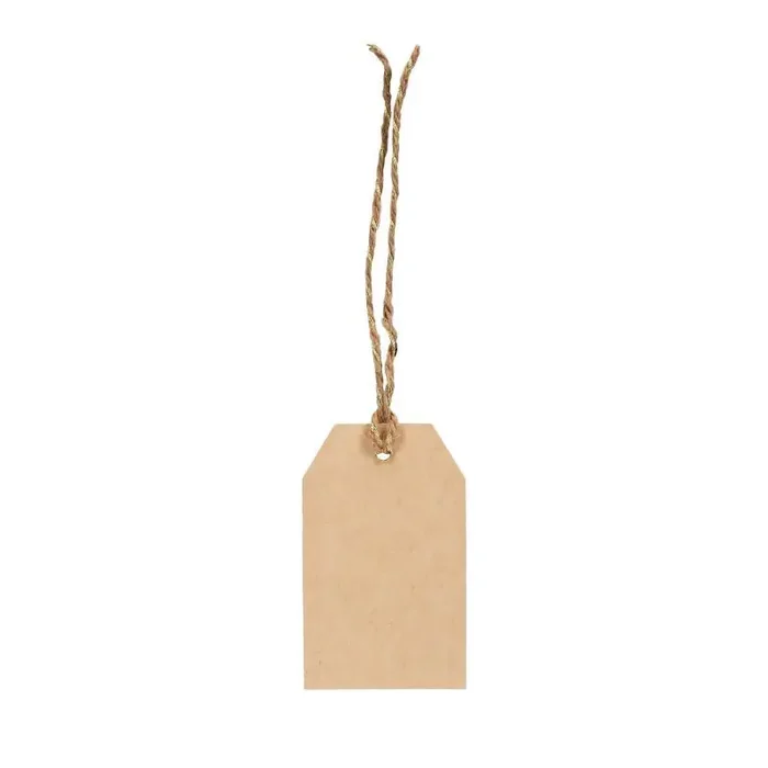 10ct Kraft Gift Tags Brown – Spritz™