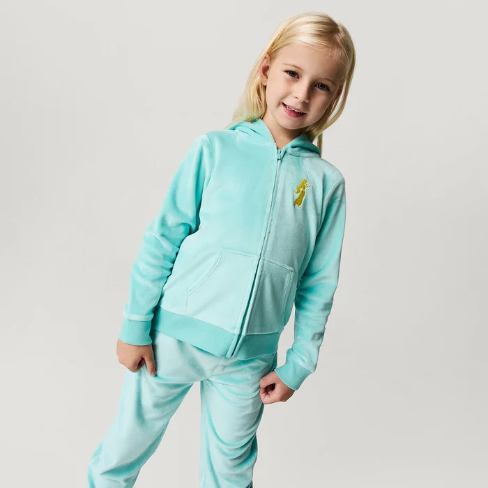 Aladdin Blue Long Sleeve Disney Jasmine Velour Zip Hoodie | Posh Peanut®