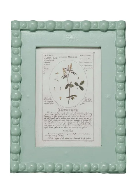 Aqua Green Picture Frame w/ Vintage Plant Image