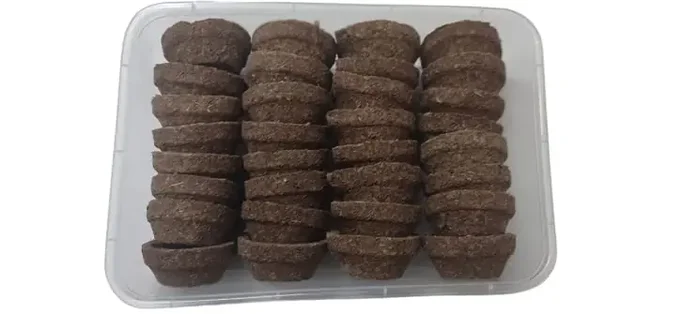 Avneel (32 Pieces) Panchagavya gobar Diya/Vilakku/Deepak Made of 5 Natural Elements – Cow Dung, Cow Urine, Milk, Curd and Ghee for Daily Puja, Festivals, Navaratri, Diwali