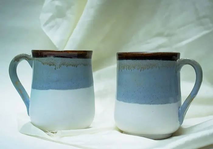 Blue White Ceramic Coffee Mug Set of 2
