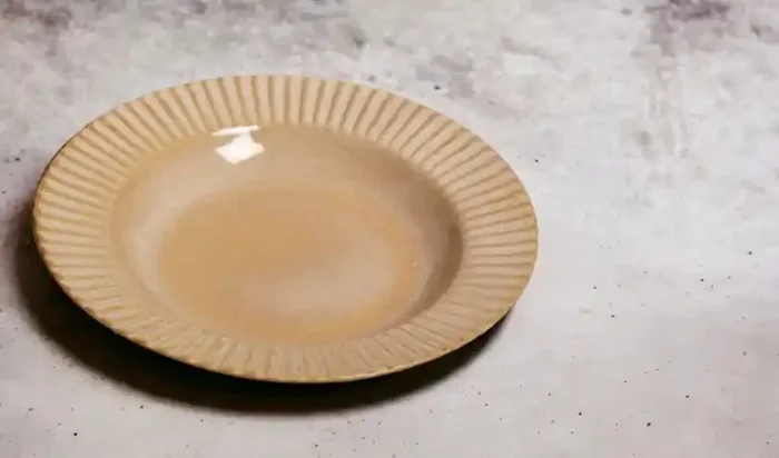 Ceramic Kitchen Mustard Pasta Plate One piece