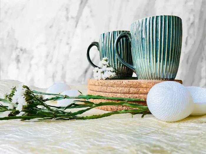 Ceramic Kitchen Pavo Coffee Mug Set of 2