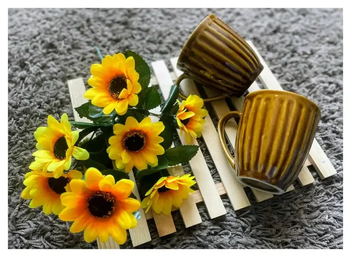Ceramic Kitchen Senf Coffee Mug Set of 2