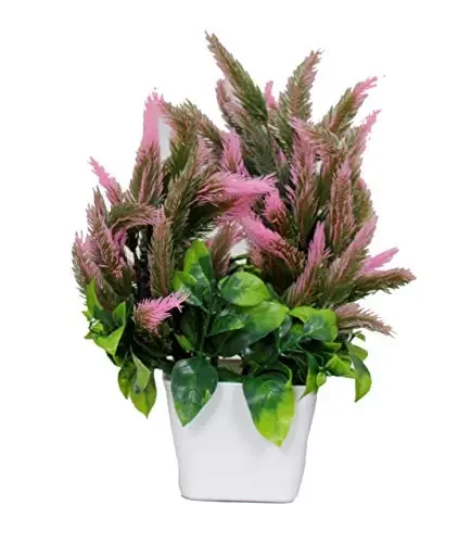 Christmas Vibes (Random Selection Natural Looking Artificial Bonsai Plant Anthurium Flower for Home Decor Office Decor and Artificial GardeningHome Decoration H – 27 cm