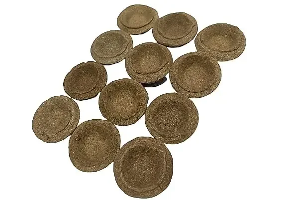 Cow Dung Diyas Cow Dung (31 Piece)
