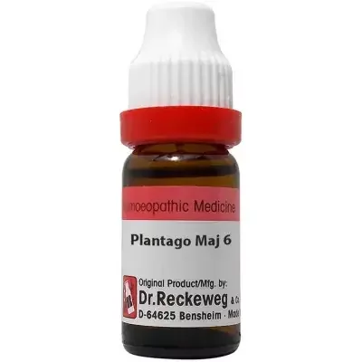 Dr. Reckeweg Plantago Major 6 CH (11gm)