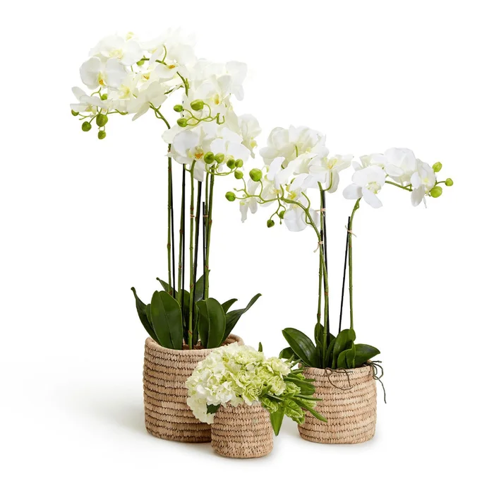 Hand Woven Date Leaf Basket