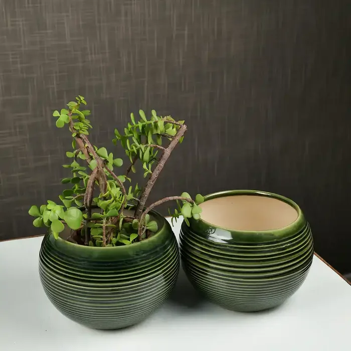 KHURJA POTTERY ‘Olive Ridged‘ Ceramic Planter Pots for Indoor Plants Flower Pots for Garden Decoration Items (Set of 2 Green)