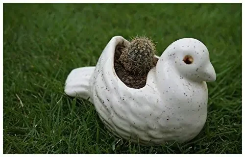 KHURJA POTTERY White Ceramic Mini Planter in Shape of Small Bird Set of 2 Pot can be Used for Decor as a Table top for Garden or Balcony