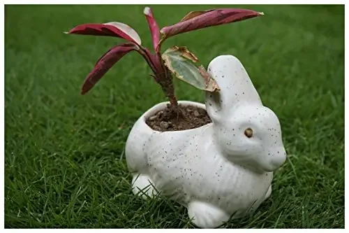 KHURJA POTTERY White Ceramic Mini Planter in Shape of Small Rabbit (Set of 2)