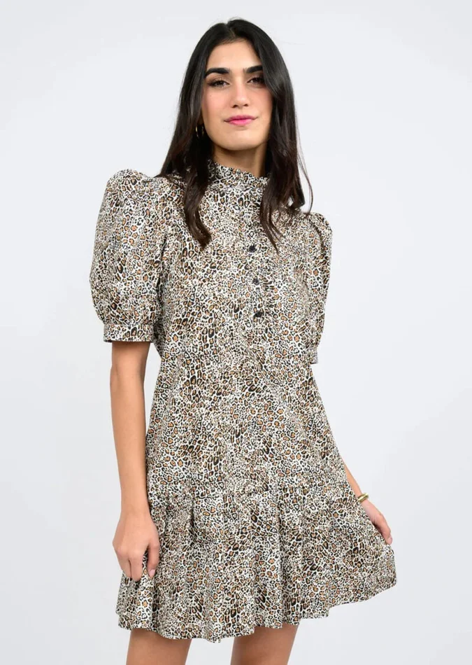 Leopard Printed Dress