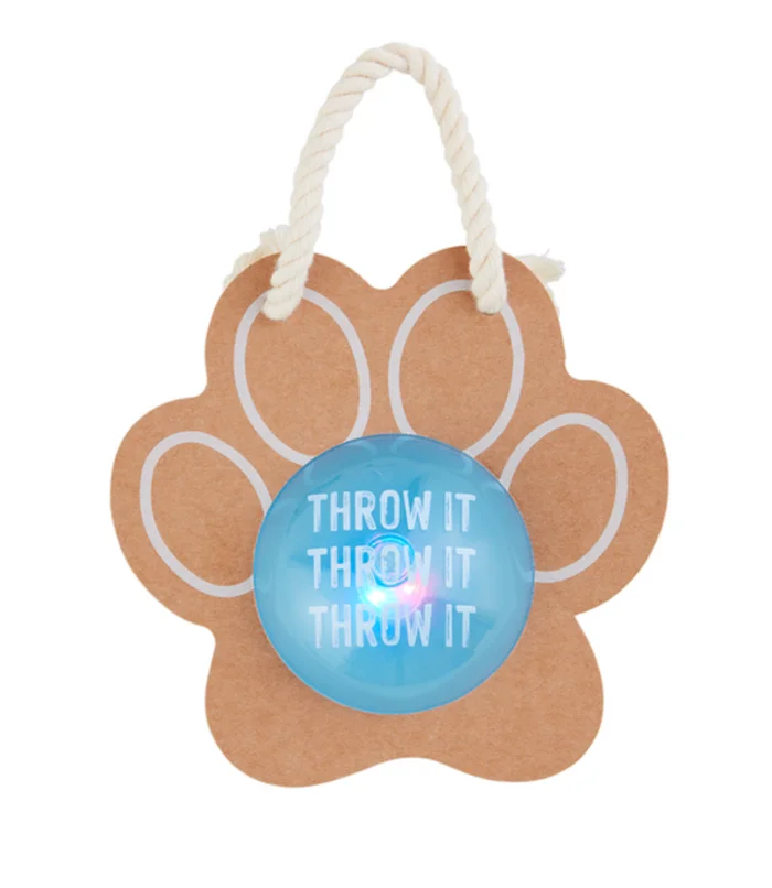 Light Up Ball Toy