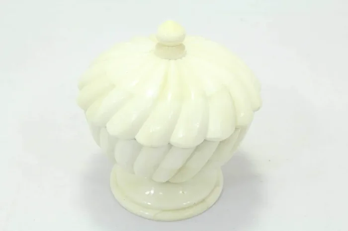 LUCKNOW BONE CARVING PRODUCTS Handmade Handcrafted Trinket Box Natural Camel Bone Home Decorative Gift Item