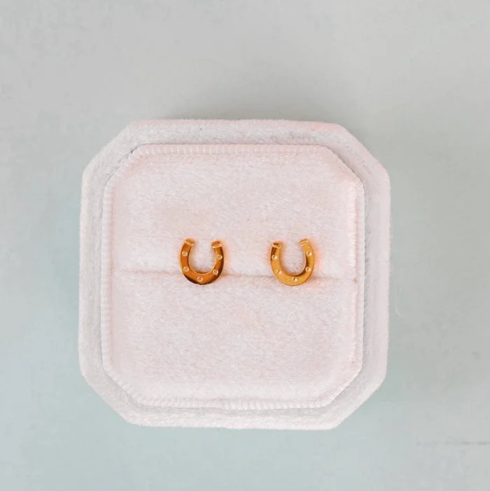Lucky You Horseshoe