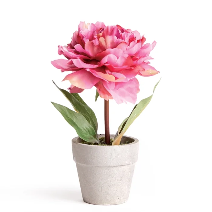 Mini Potted Peony – Dark Pink