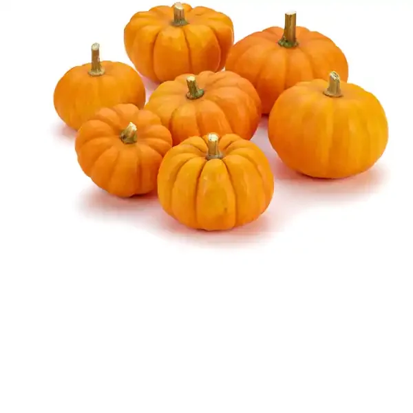 Mini Pumpkins 7ct
