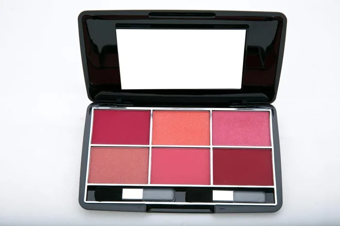 Miss Claire Blusher Kit 3660-B- 4, Multi, 24 g