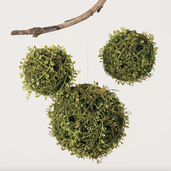 Mossy Orbs