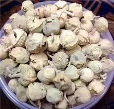 NatureHerbs Cilantro Paneer Doda / Paneer ka Phool / Withania coagulans- 400 Gm