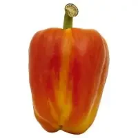 Peppers Bell Striped