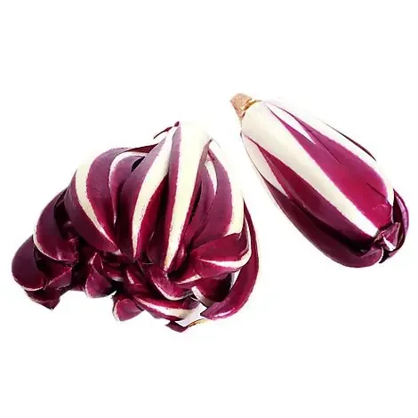 Radicchio Tardivo Rosso – 6s