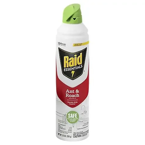 Raid Essentials Insecticide Aerosol Spray Ant & Roach Killer