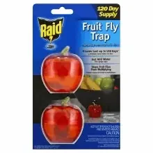 Raid Fruit Fly Trap