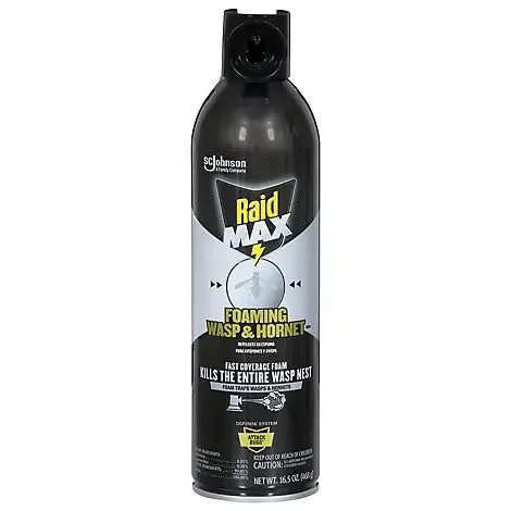Raid Max Foaming Wasp & Hornet 16.5 Oz – 16.5 OZ