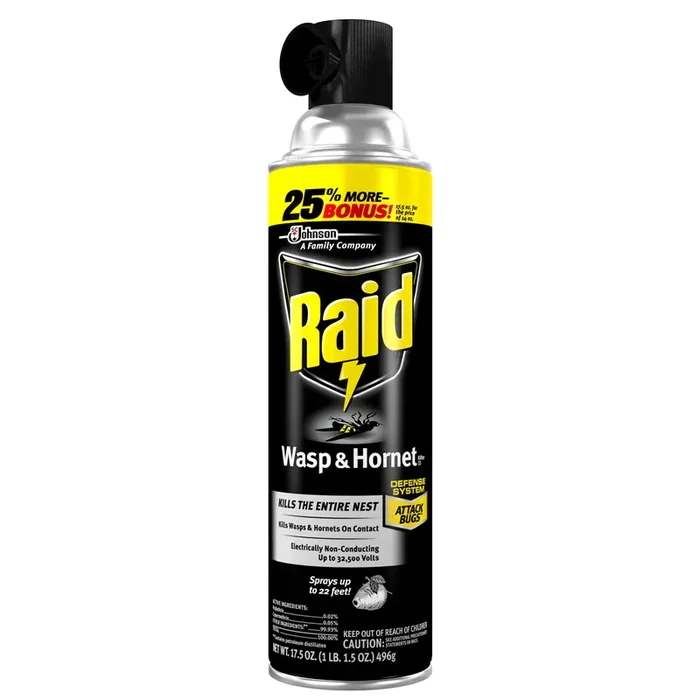 Raid Wasp And Hornet Insecticide Spray