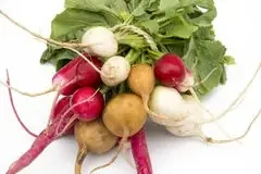 Rainbow Radish