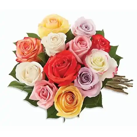 Rainbow Roses – 12 Count