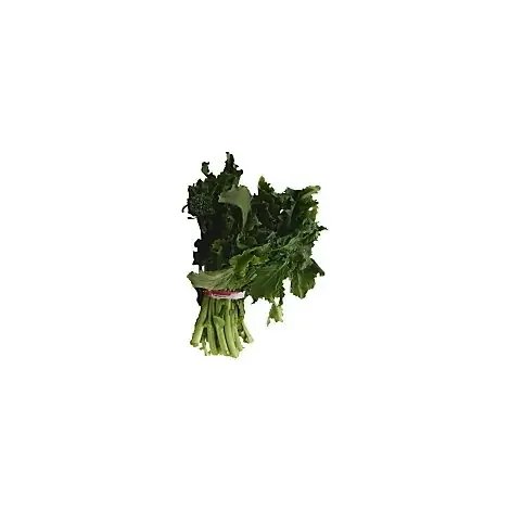 Rapini