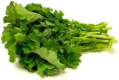 Rapini Greens