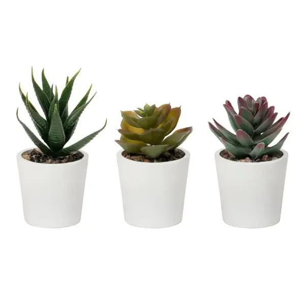 Realspace 5″” Artificial Mixed Potted Succulents, 5″”H X 6-1/2″”W X 2-1/2″”D, Green/White, Pack Of 3 Succulents