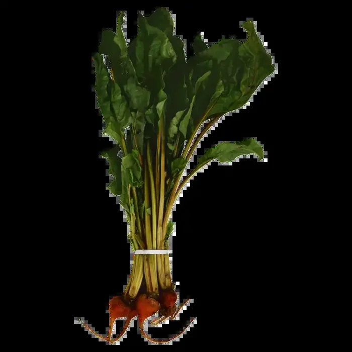 Red Beets