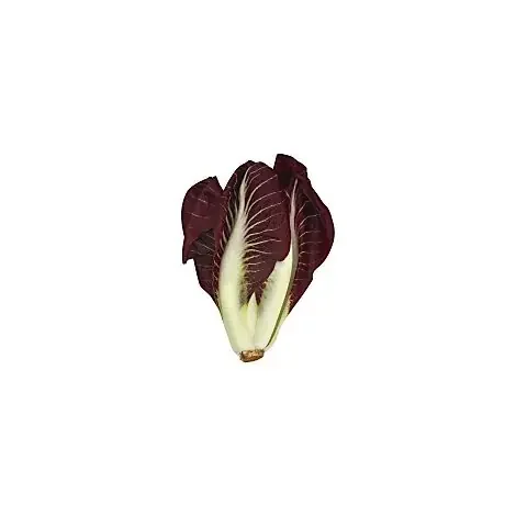 Red Belgian Endive Lettuce