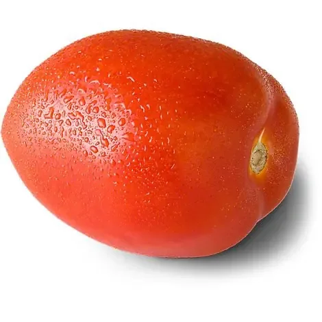 Red Roma Tomato
