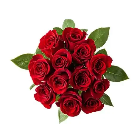 Red Roses – 12 Count
