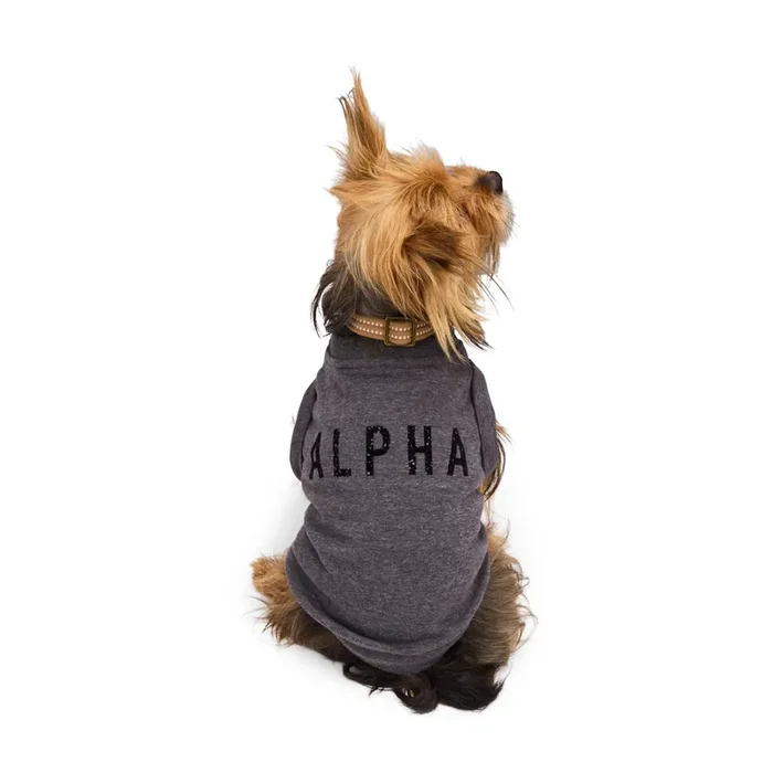 Reddy Alpha Crewneck for Dogs, Small, Black