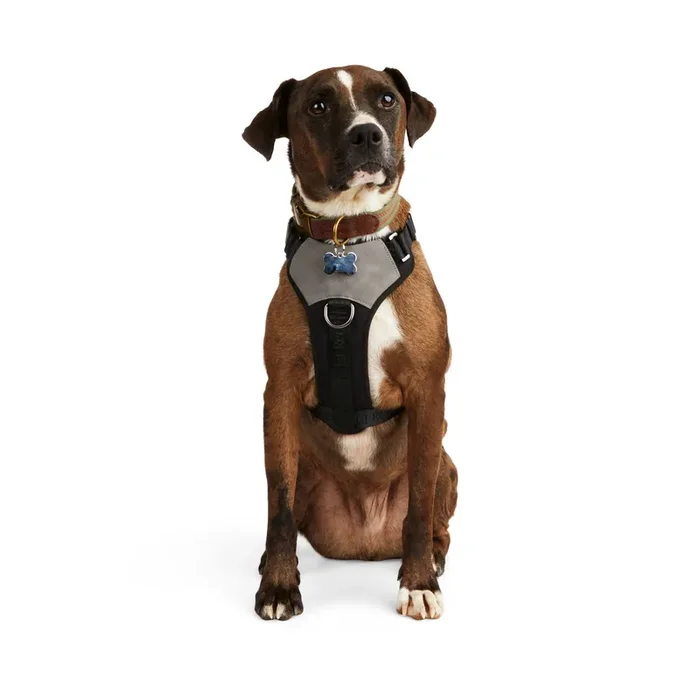 Reddy Black Jacquard Dog Harness, Large