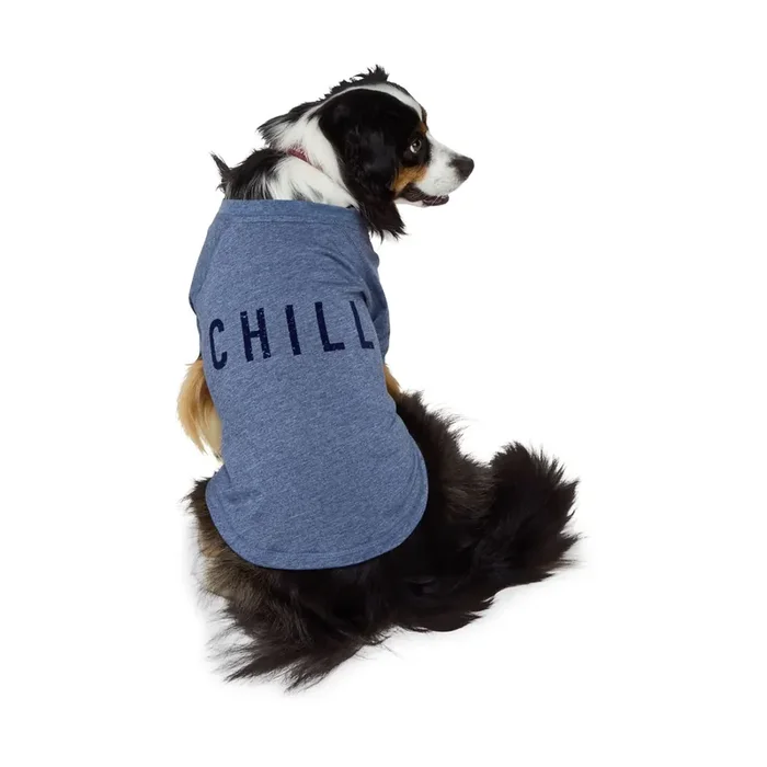 Reddy Chillin‘ Dog T-Shirt, Large, Blue