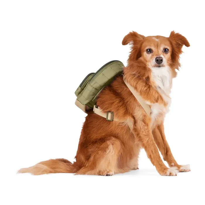 Reddy Dog Backpack