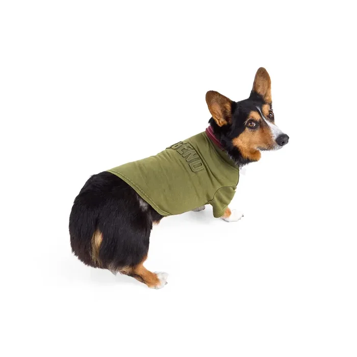 Reddy Embossed Legend Dog Tee, Large, Green