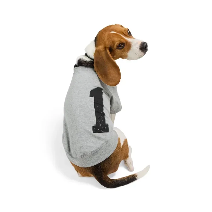 Reddy Icon Dog Tee, Medium, Heather Gray