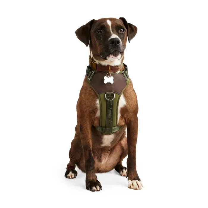 Reddy Jacquard Dog Harness, Olive, Medium