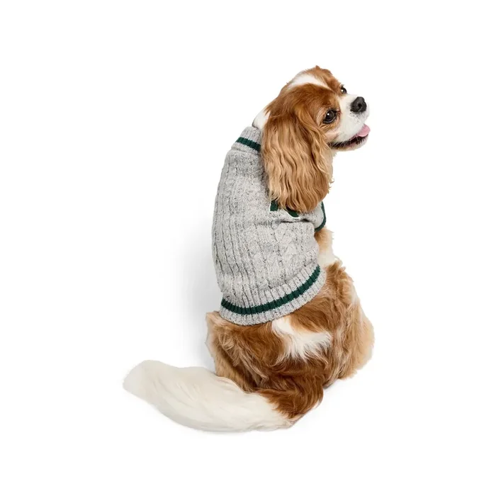 Reddy Logo Cardigan Pet Sweater, Grey, Large