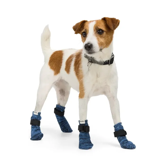 Reddy Marled Knit Dog Socks, X-Small/Small, Navy