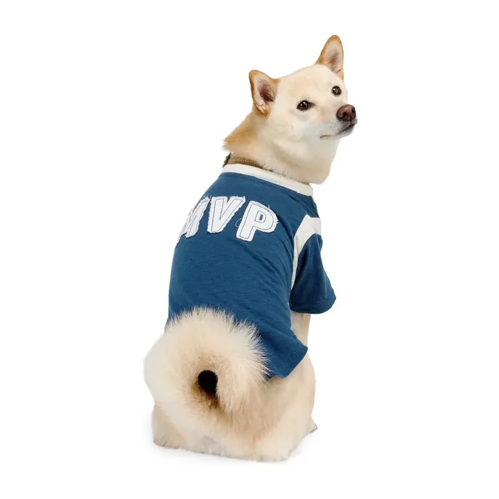 Reddy MVP Pet T-Shirt, Navy, Medium