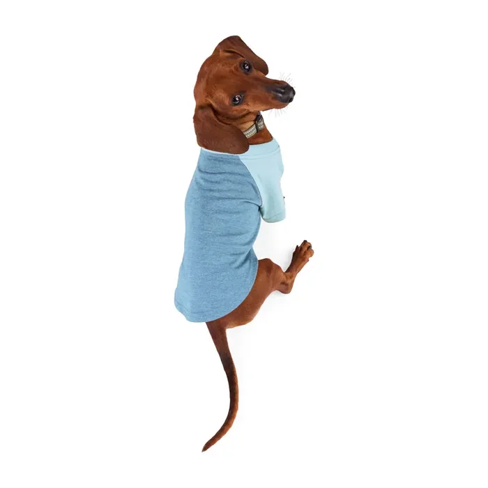 Reddy Raglan Dog T-Shirt, X-Small, Navy
